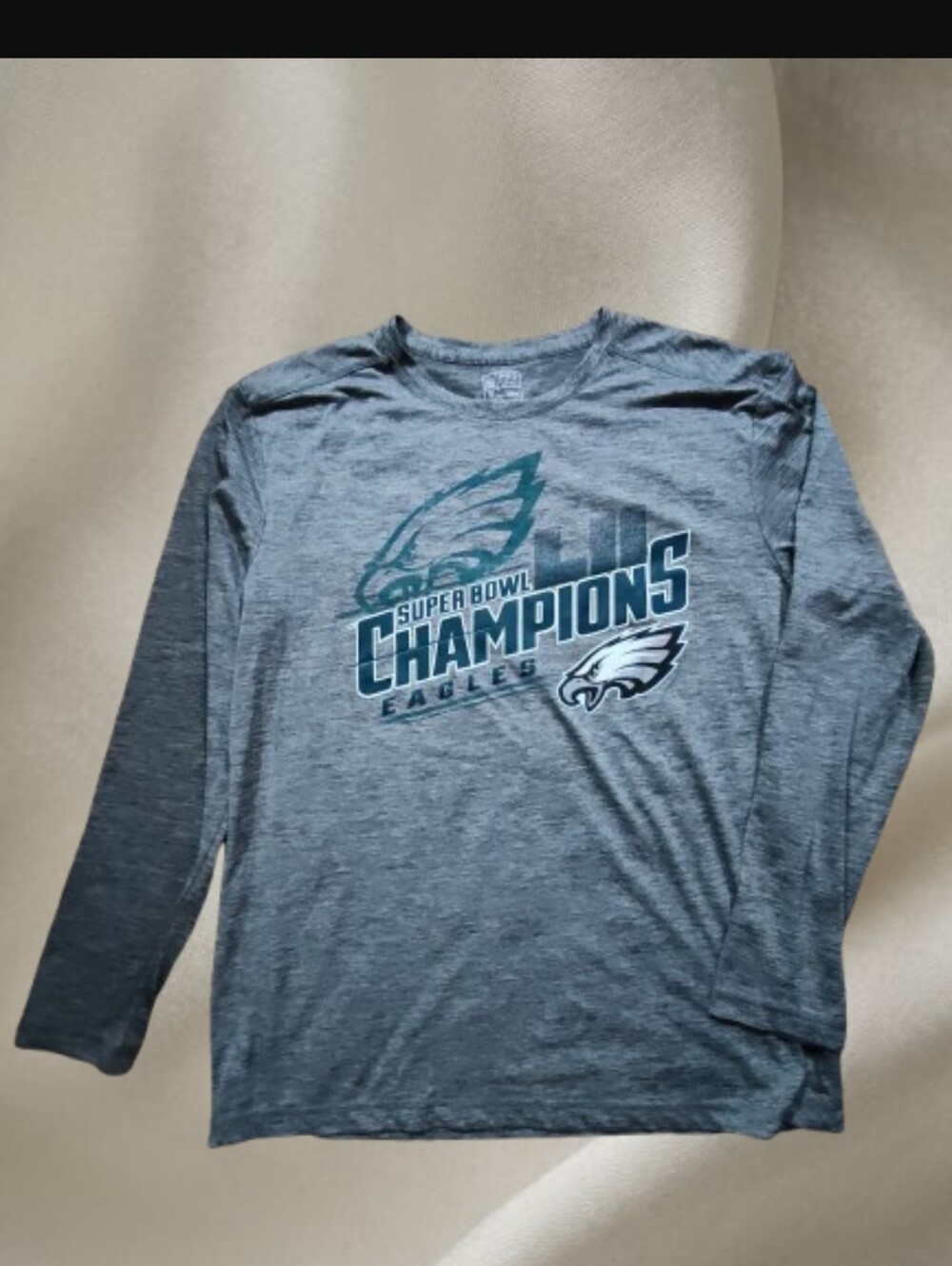 Men's Large Long-Sleeve Super Bowl Champions Tee - Gray/Green